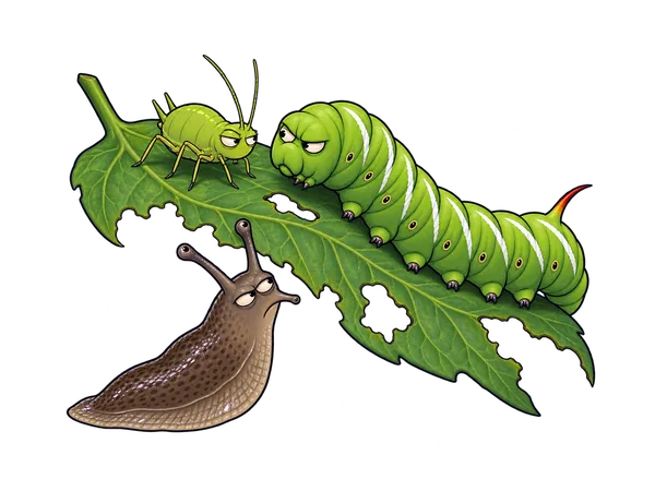 Cartoon aphid, Japanese beetle and slug on garden plants